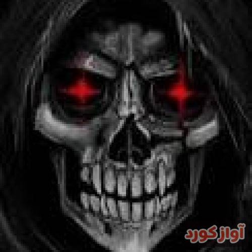 رضا بغض 2